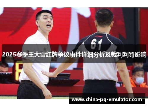 2025赛季王大雷红牌争议事件详细分析及裁判判罚影响