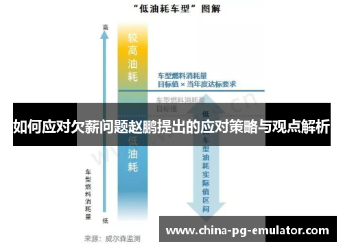 如何应对欠薪问题赵鹏提出的应对策略与观点解析