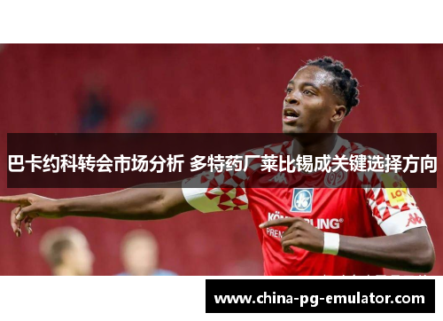 巴卡约科转会市场分析 多特药厂莱比锡成关键选择方向 巴卡约科转会市场分析 多特药厂莱比锡成关键选择方向
