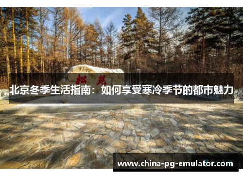 北京冬季生活指南:如何享受寒冷季节的都市魅力 北京冬季生活指南:如何享受寒冷季节的都市魅力