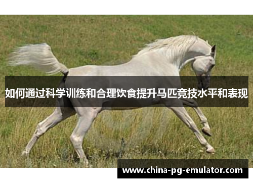 如何通过科学训练和合理饮食提升马匹竞技水平和表现 如何通过科学训练和合理饮食提升马匹竞技水平和表现