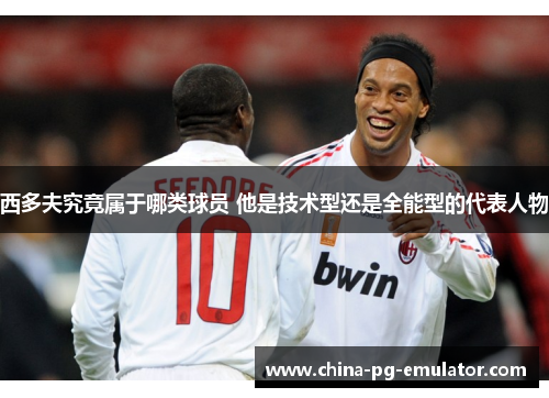 西多夫究竟属于哪类球员 他是技术型还是全能型的代表人物 西多夫究竟属于哪类球员 他是技术型还是全能型的代表人物