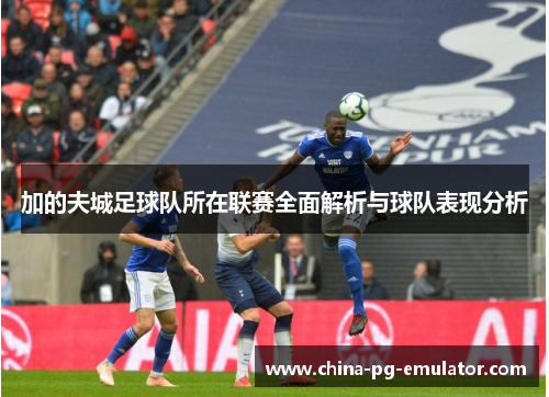 加的夫城足球队所在联赛全面解析与球队表现分析 加的夫城足球队所在联赛全面解析与球队表现分析